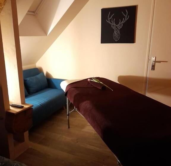 اتاق استاندارد, Chambre D Hôtes Sophora   Les Clés Des Lys