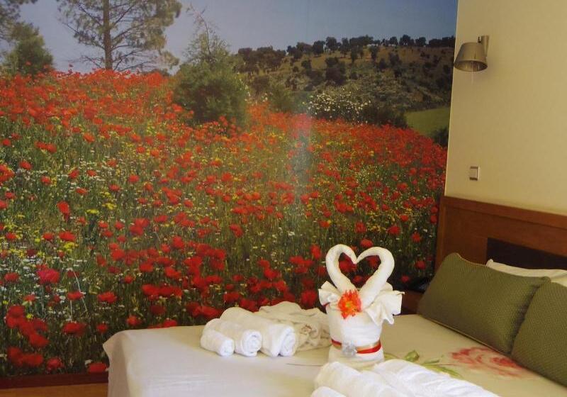 Quarto Triplo Estandar, Rural Sra De Pereiras