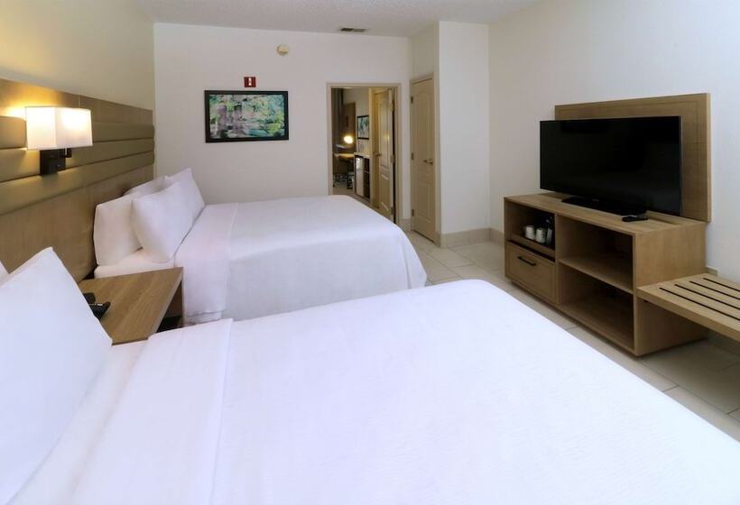 套房, Wyndham Garden Mcallen At La Plaza Mall