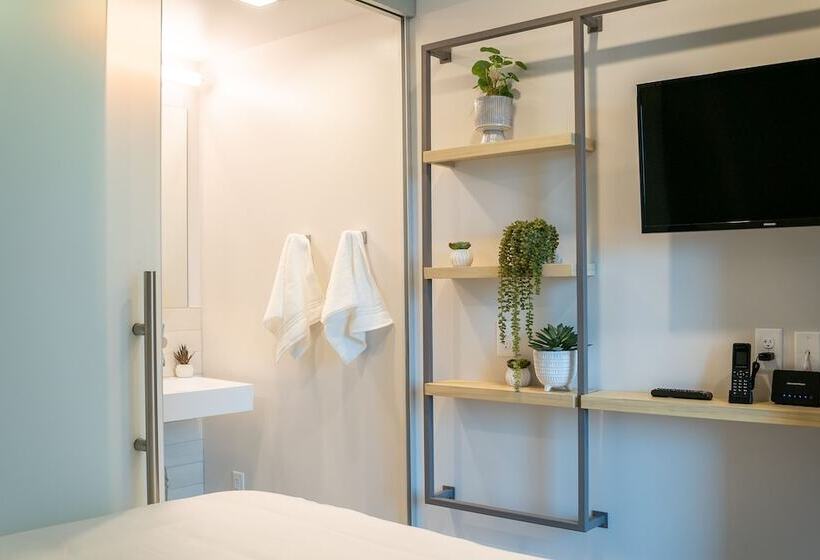 اتاق استاندارد, Sova Microroom & Social