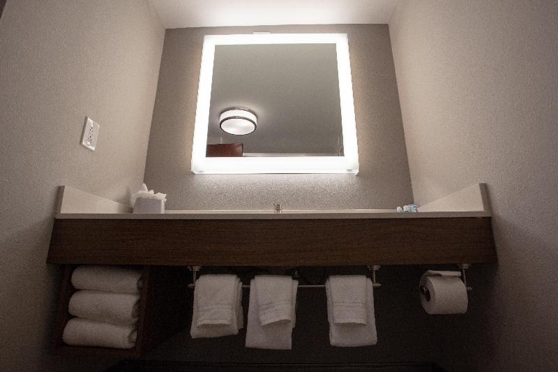Люкс Кровать Кинг, Holiday Inn Express & Suites Atlanta Perimeter Mall Hotel, An Ihg