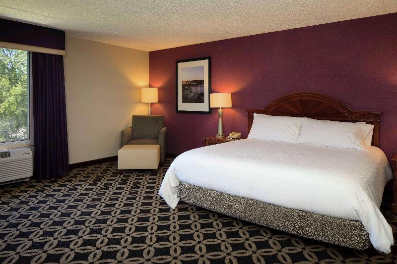 Стандартный Номер Кровать Кинг, Hilton Garden Inn Auburn Riverwatch