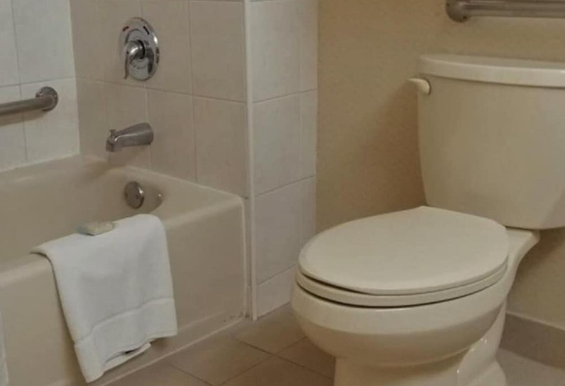 İki Çift Kişilik Yataklı Standart Oda, Holiday Inn Express Chihuahua, An Ihg