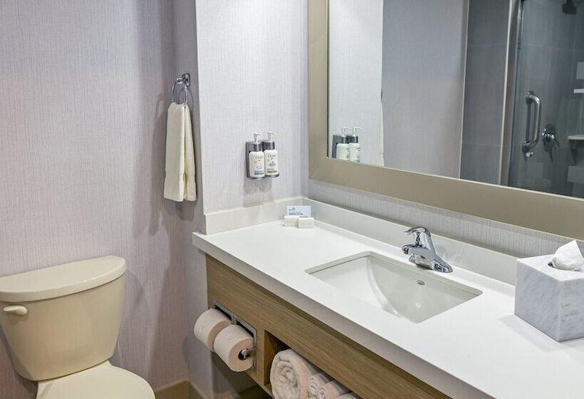 Standart Oda, Holiday Inn Express Chihuahua, An Ihg