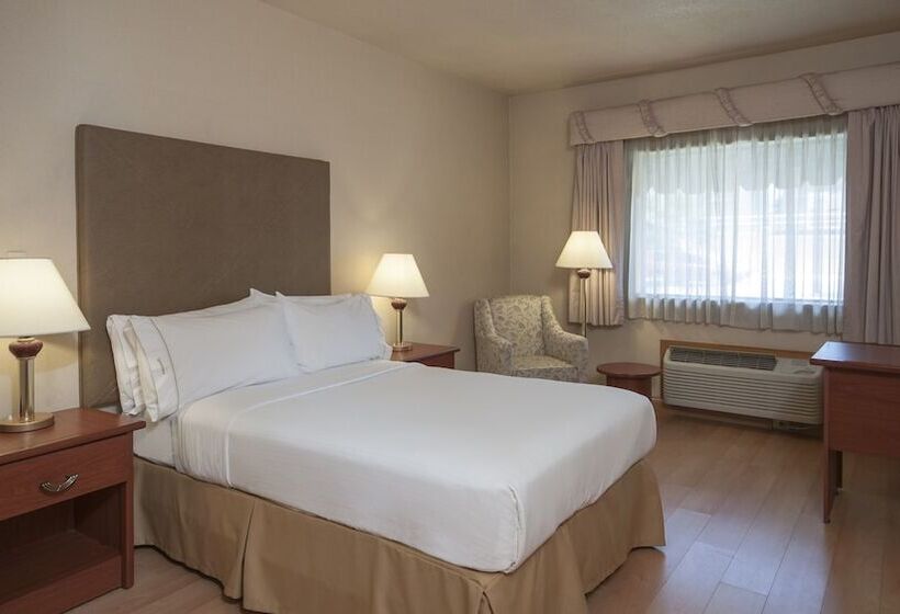Standart Oda, Holiday Inn Express Chihuahua, An Ihg