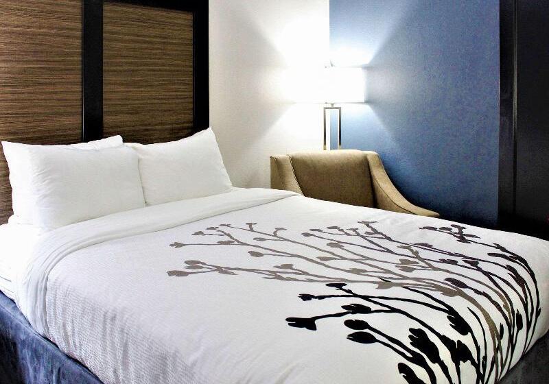 اتاق استاندارد با تخت بزرگ برای معلولان, Sleep Inn