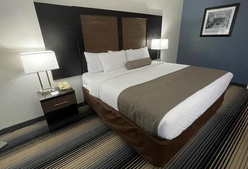 اتاق استاندارد با تخت بزرگ برای معلولان, Sleep Inn