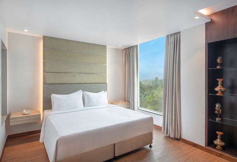 Полулюкс, Radisson Hotel Bareilly Airport