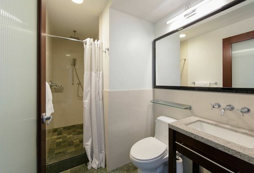 اتاق لوکس با تخت بزرگ, Marriott Vacation Club®, New York City 