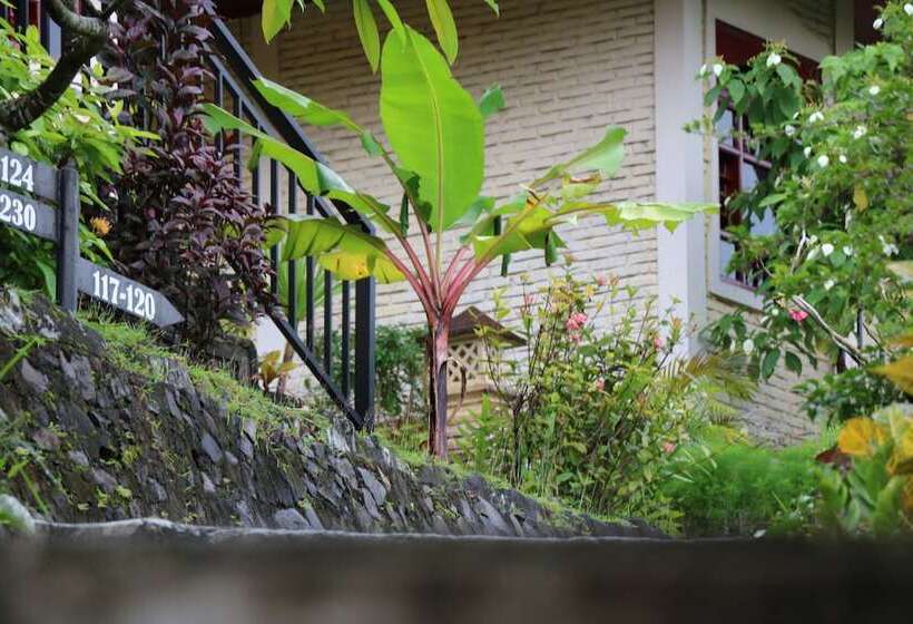Номер Deluxe, Puri Bunga Beach Cottages