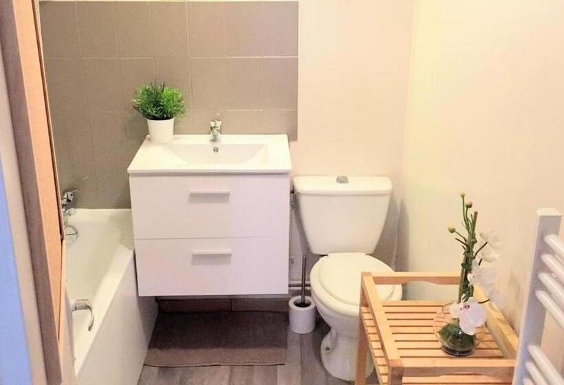 Апартаменты 1 Спальня, Duplex à La Gare Du Mans