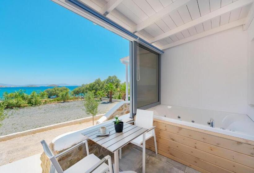 Студия Стандарт, Aegean Paradiso Vacation Club   Adults Only