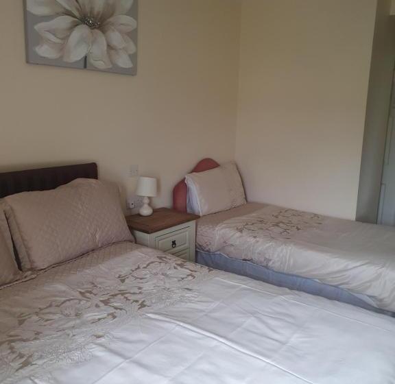 اتاق استاندارد, Willards B&b