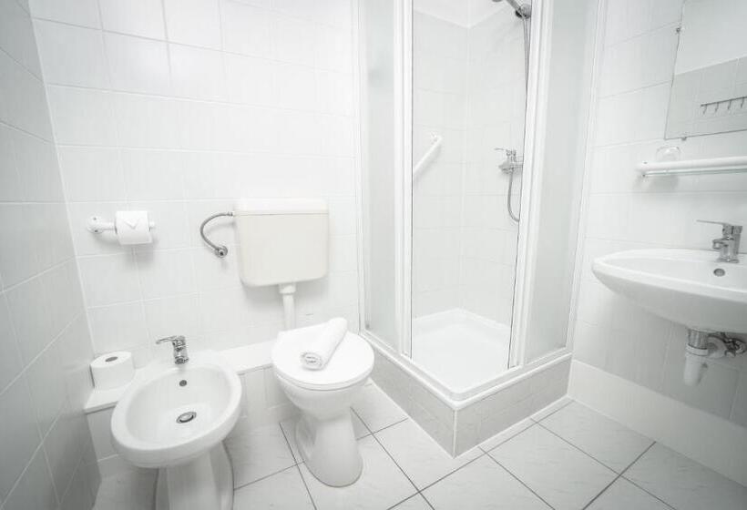اتاق لوکس, Regia Panzió