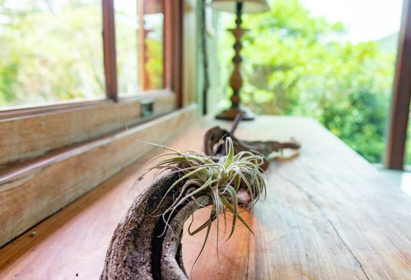 스탠다드 룸, Altamira Eco Retreat