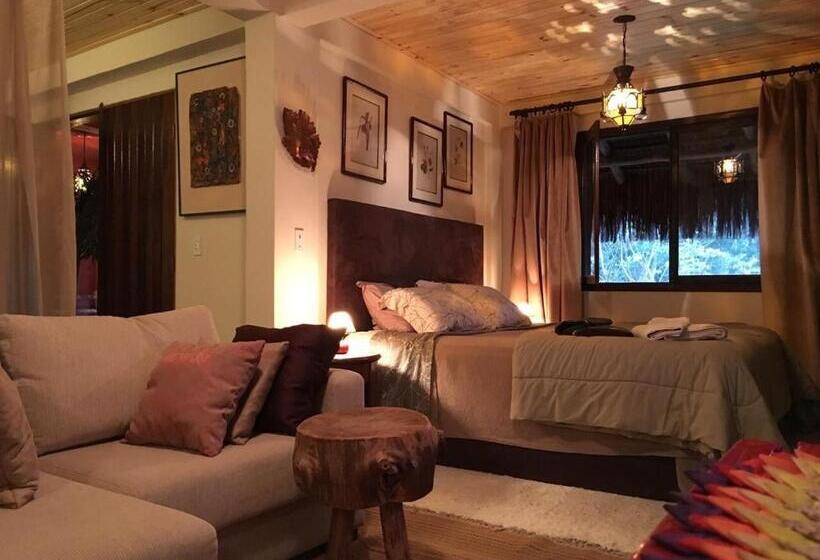 Люкс Deluxe Кровать Кинг, Pousada Casa De Mauá