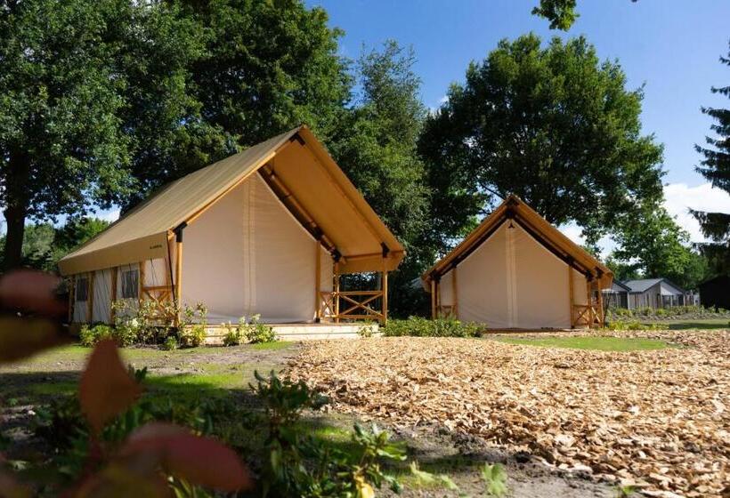 اتاق استاندارد, Europarcs Zilverstrand