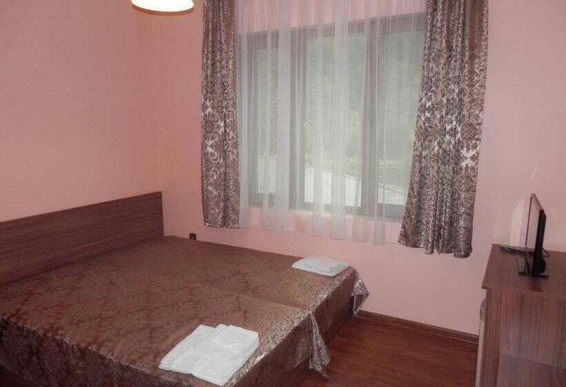 Номер Стандарт, Family Hotel Borovitsa
