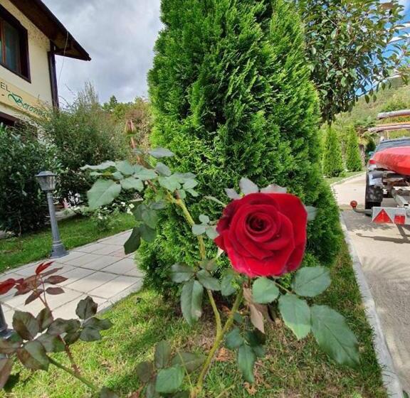 Номер Стандарт, Family Hotel Borovitsa