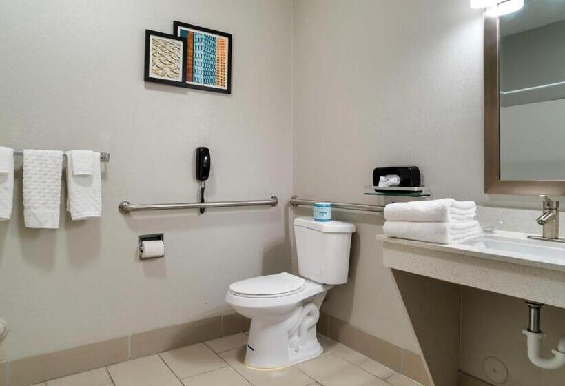 适合残疾人士使用的带超级大床的标准间, Best Western Clare