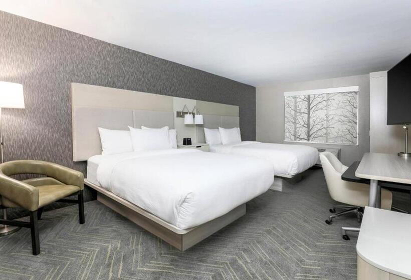 适合残疾人使用的标准间, Fairfield By Marriott Inn & Suites Amarillo Central