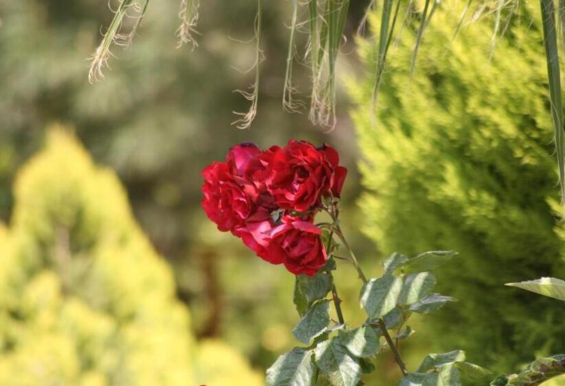 آپارتمان 1 خوابه, Eftelya Apart