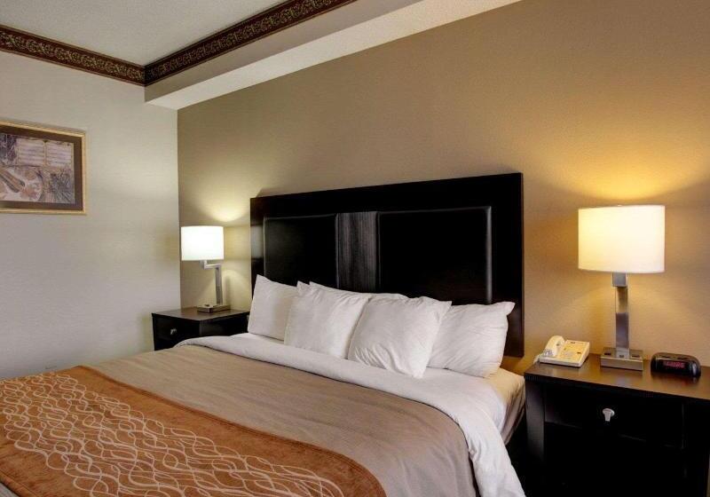 Номер Стандарт, Comfort Inn & Suites