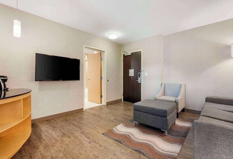 Люкс Адаптированный для Инвалидов, Cambria Hotel Madison East