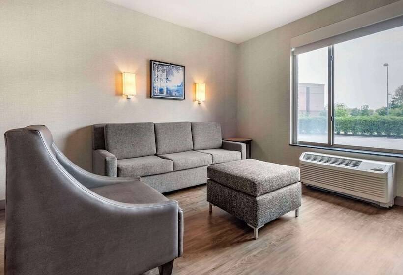 Люкс Адаптированный для Инвалидов, Cambria Hotel Madison East