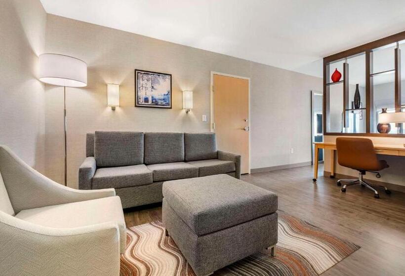 Люкс Адаптированный для Инвалидов, Cambria Hotel Madison East
