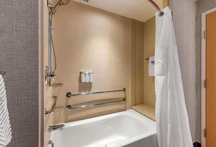 Люкс Адаптированный для Инвалидов, Cambria Hotel Madison East