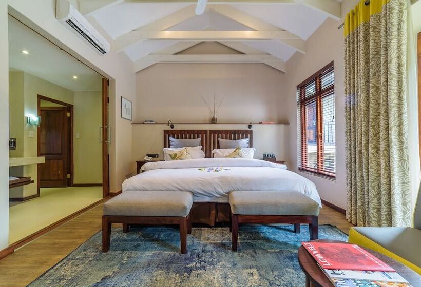اتاق لوکس, Casterbridge Hollow Boutique