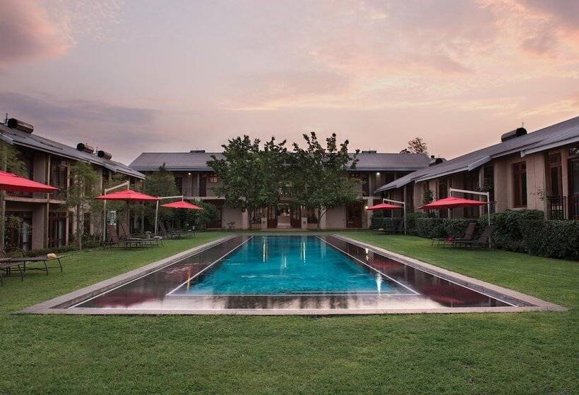 اتاق خانوادگی, Casterbridge Hollow Boutique