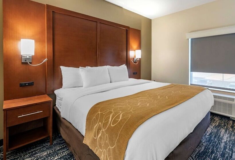 Люкс, Comfort Suites West Memphis I40 I55