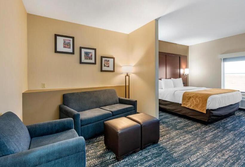 Люкс Адаптированный для Инвалидов, Comfort Suites West Memphis I40 I55