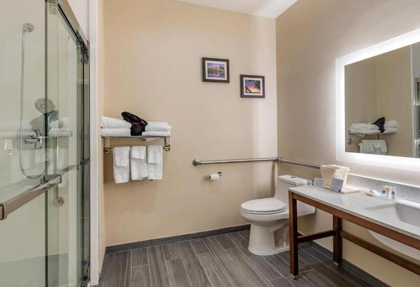 Люкс Адаптированный для Инвалидов, Comfort Suites West Memphis I40 I55
