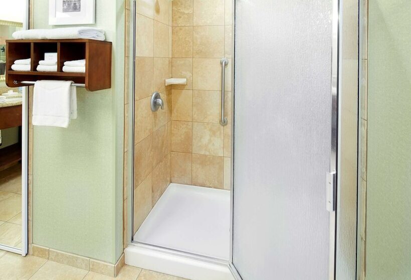 סוויטה, Hampton Inn & Suites Savannah/midtown