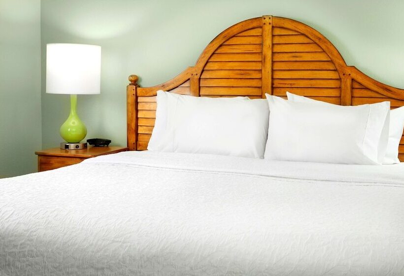 סוויטה, Hampton Inn & Suites Savannah/midtown