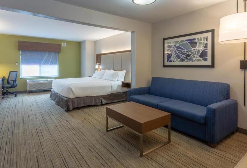 带大床的标准工作室, Holiday Inn Express & Suites Milwaukee Nw   Park Place, An Ihg