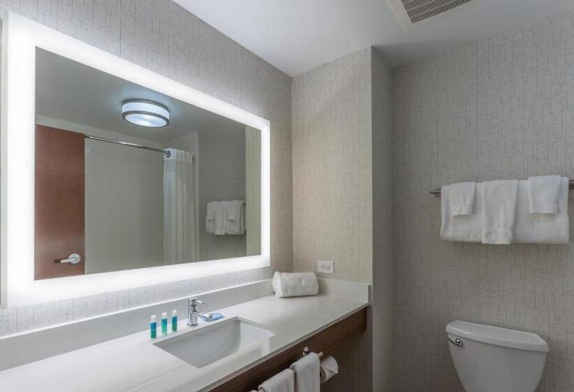 高级客房, Holiday Inn Express & Suites Milwaukee Nw   Park Place, An Ihg