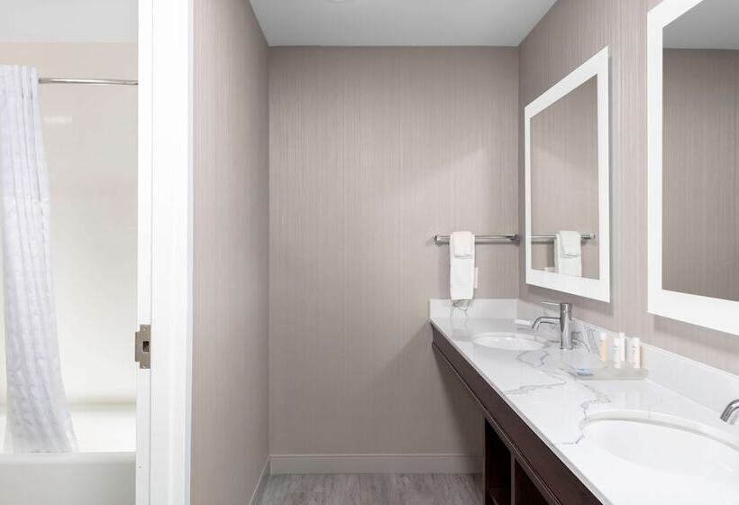 Люкс с Балконом, Homewood Suites By Hilton Phoenix Airport South