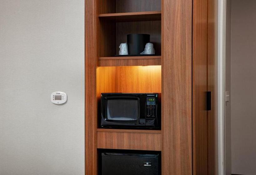 스탠다드 룸 킹사이즈 침대, Fairfield By Marriott Inn & Suites Lebanon Near Expo Center