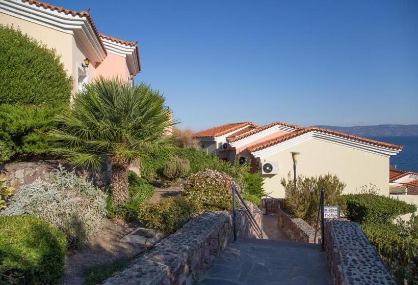 اتاق سوپریور با چشم‌انداز دریا, Sunrise Resort