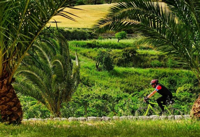 اتاق راحتی, Kallikoros Country Resort & Spa