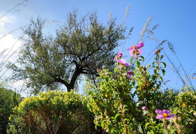آپارتمان 2 خوابه, Kallikoros Country Resort & Spa
