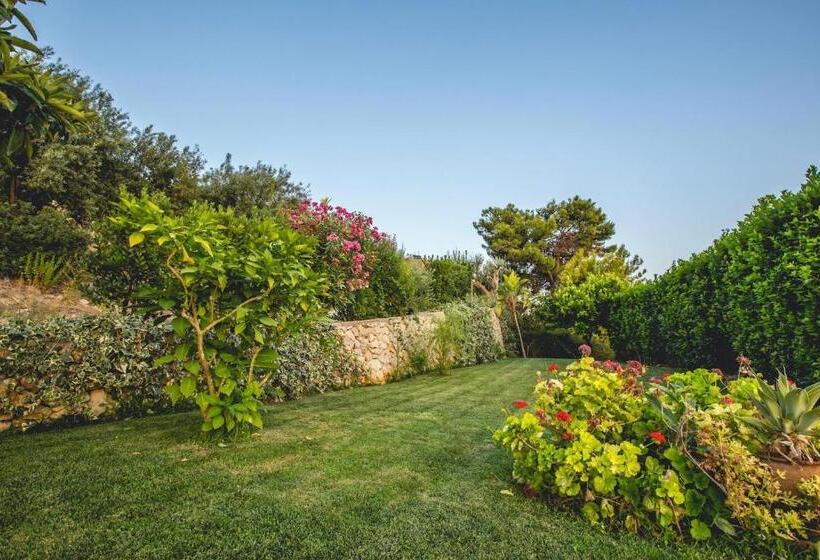 اتاق راحتی, Kallikoros Country Resort & Spa