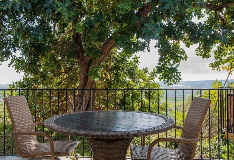 اتاق استاندارد با چشم‌انداز, Kallikoros Country Resort & Spa