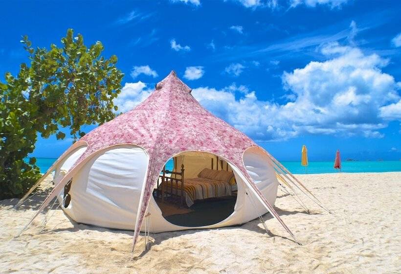 چادر با خدمات رفاهی لوکس, Wild Lotus Glamping
