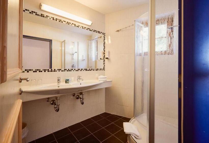 חדר סטנדרט, Enzian By Alpeffect Hotels