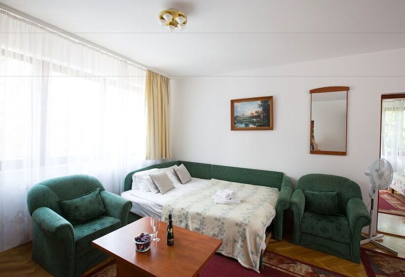 Apartamento Superior 1 Dormitório, Helios Hotel Apartments